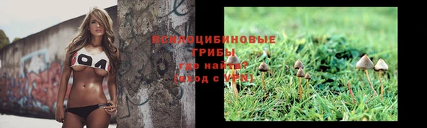 таблы Горняк