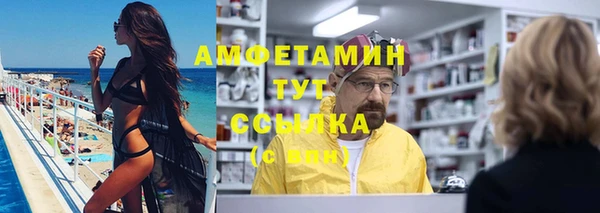 прущие грибы Гусев