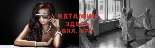 прущие грибы Гусев