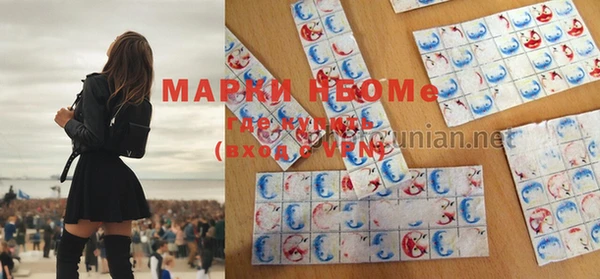 прущие грибы Гусев