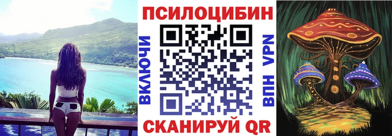 Галлюциногенные грибы прущие грибы даркнет как зайти Балаково omg рабочий сайт